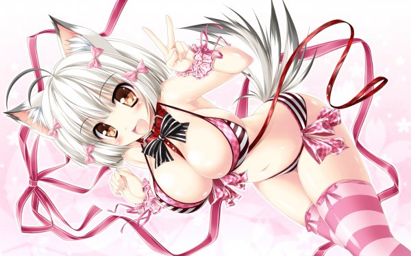 file_64161408