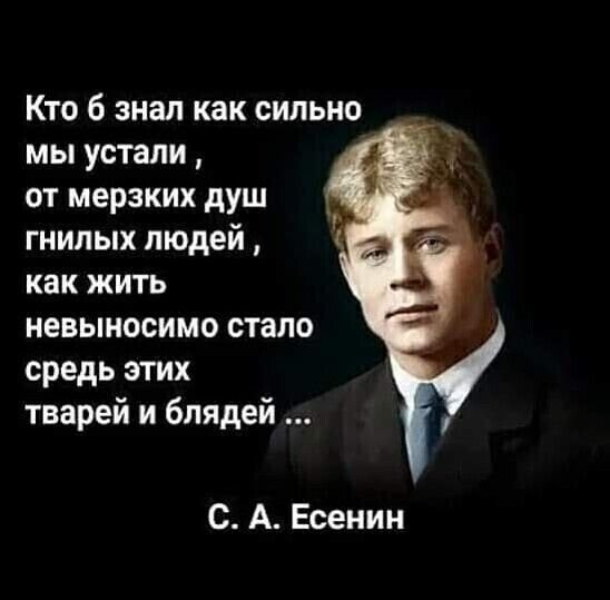 file_95253044