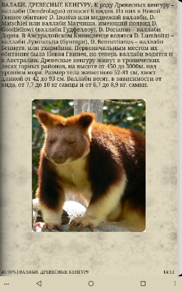 Самые необычные животные 1.0
