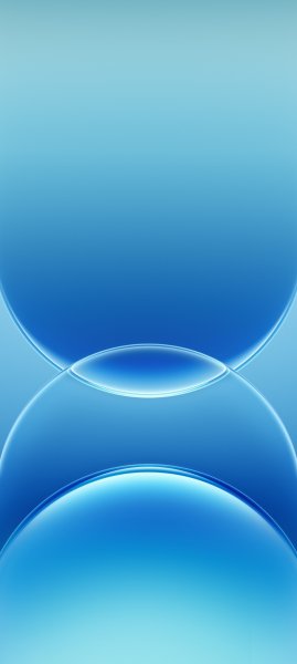 adapted 1080x2408 1786981938