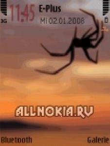 Spider by gnokkia
