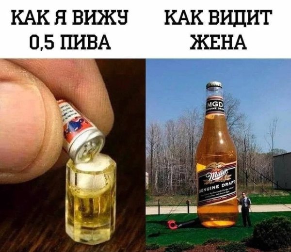 file_99338631