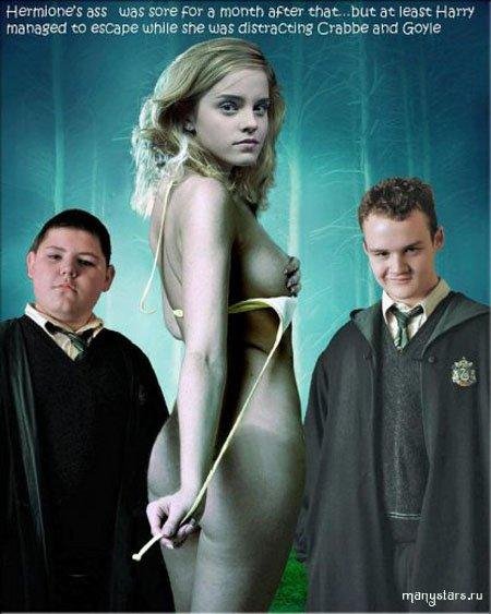 Гарри Поттер и... Нарцисса Малфой.