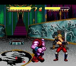 Double Dragon V - The Shadow Falls