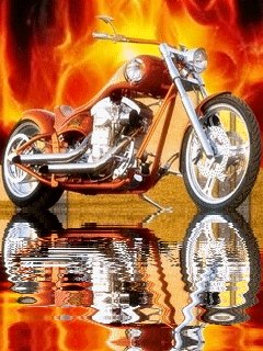 avto-moto