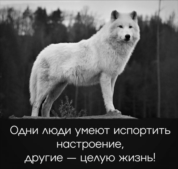IMG 20260101 160323