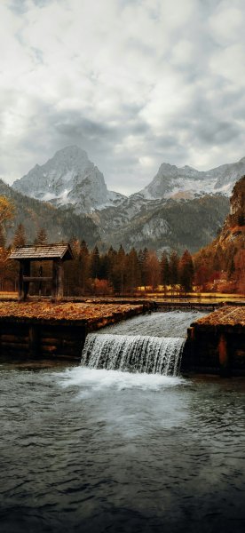 file_101166115