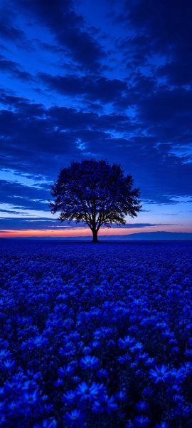 file_103280692