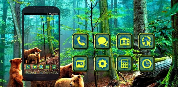3 bear in the woods