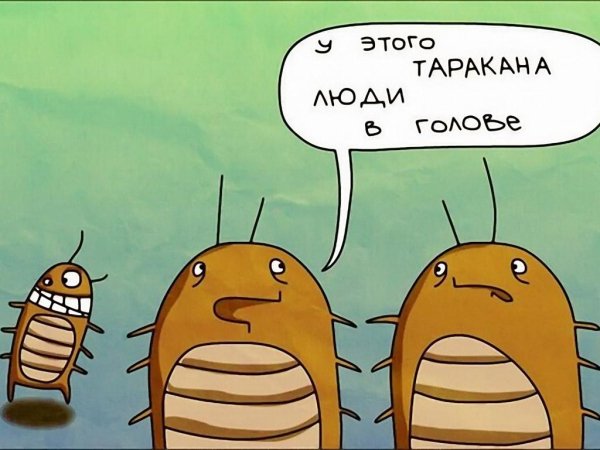 Забавная инструкция для тараканов)