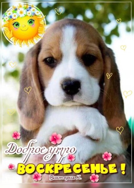 file_92545838