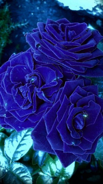 file_57124357