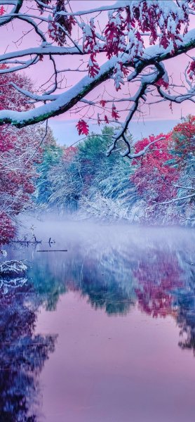 file_92599792