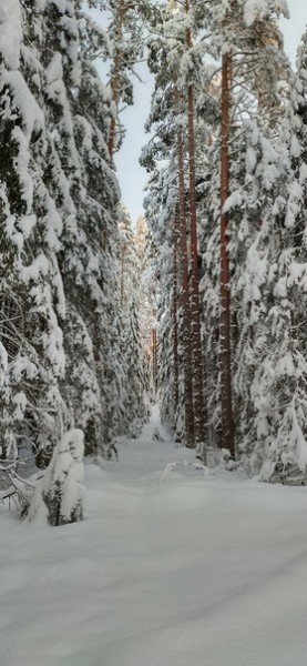 file_95548757