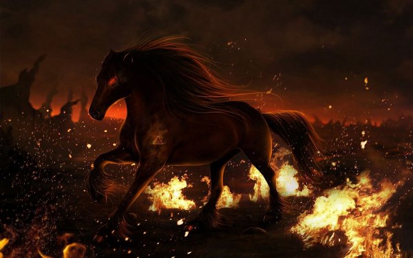 Wallpapers 6040