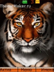 Tigr...