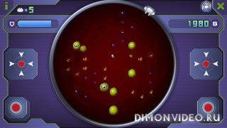 bacterium