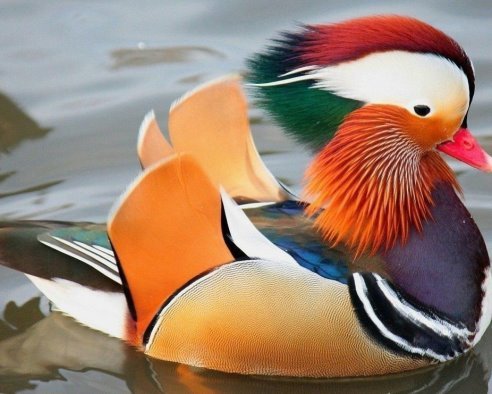 getImage (28)