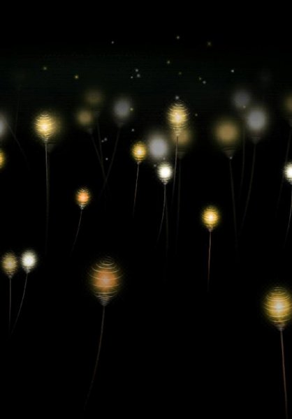 Firefly Forest