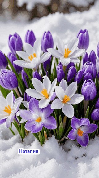 file_102135936