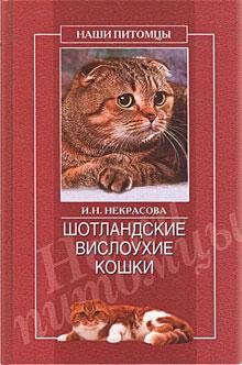 SHotlandskie vislouhie koshki