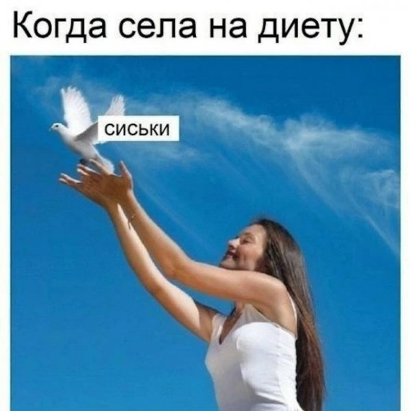 file_103202682