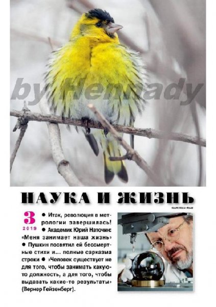 03-2019 Наука и Жизнь