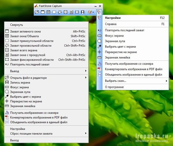 faststone capture 9.0