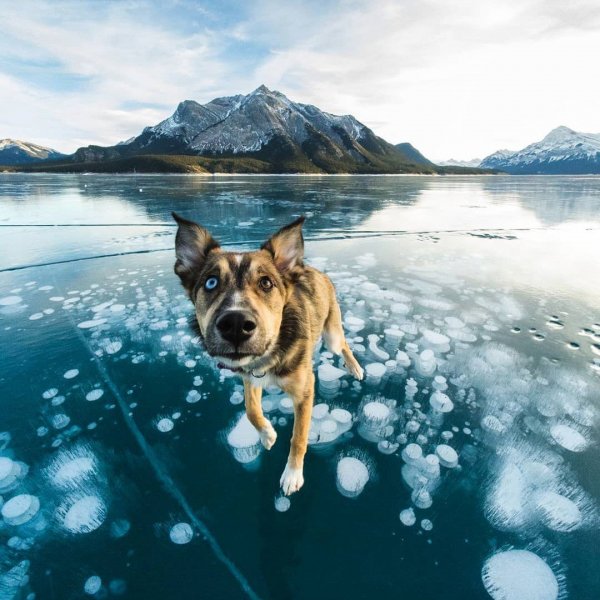 Abraham Lake, Canada