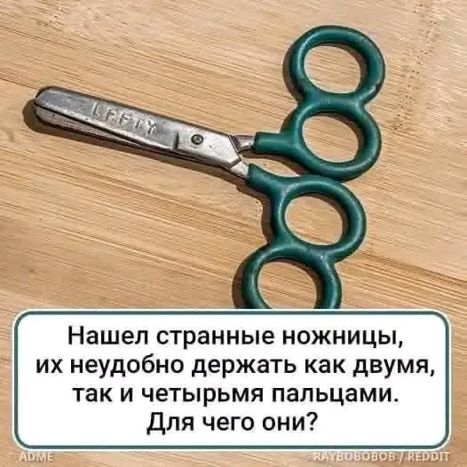 file_103322031