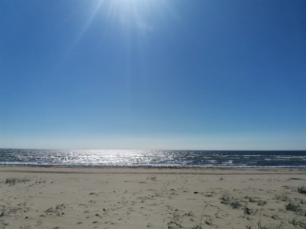 IMG-20220807-WA0037