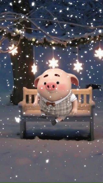 Little pig
