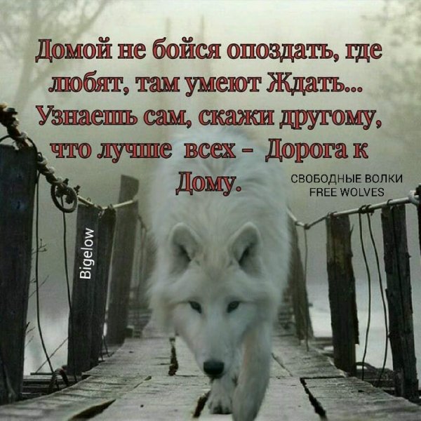 Дорога к дому