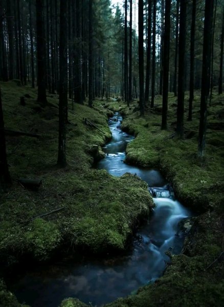 file_97642555