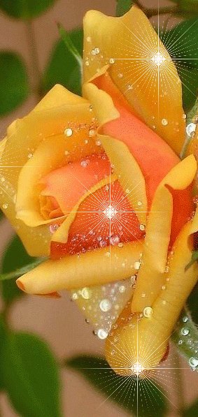 IMG 20160607 075444 0
