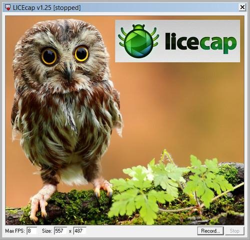 LICEcap 1.25