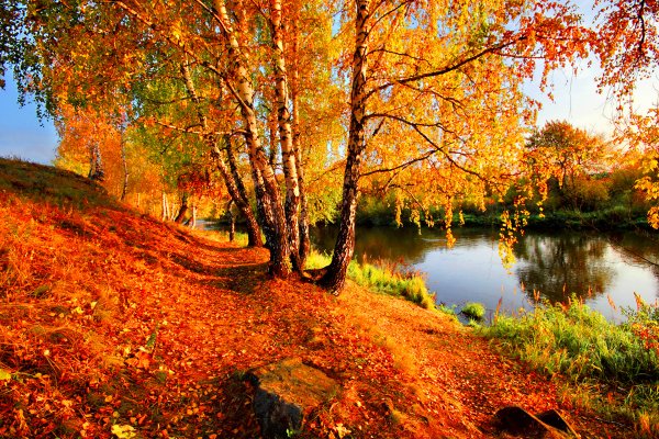 Seasons Autumn Rivers 390927