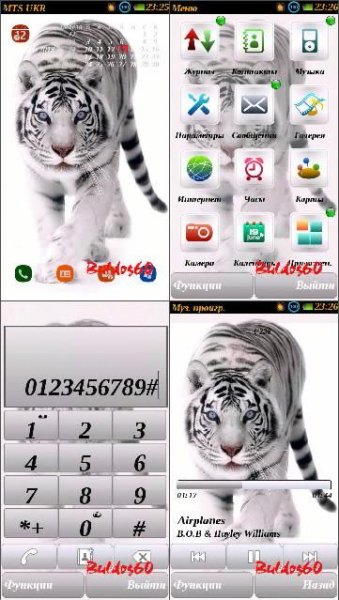 White Tiger by Buldog60