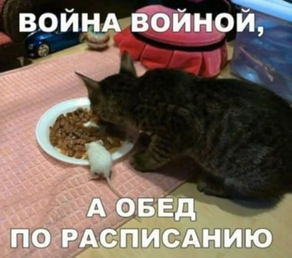 FB IMG 1774420741389