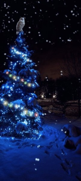 23 12 2021 22 41 57 2300000