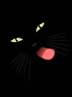 Kiss X3