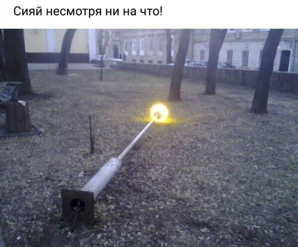 file_98105766