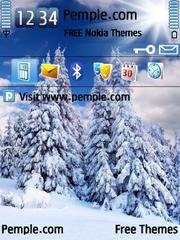 Winter 6