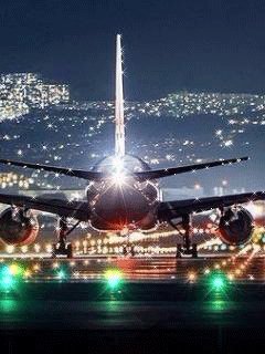 file_67495228