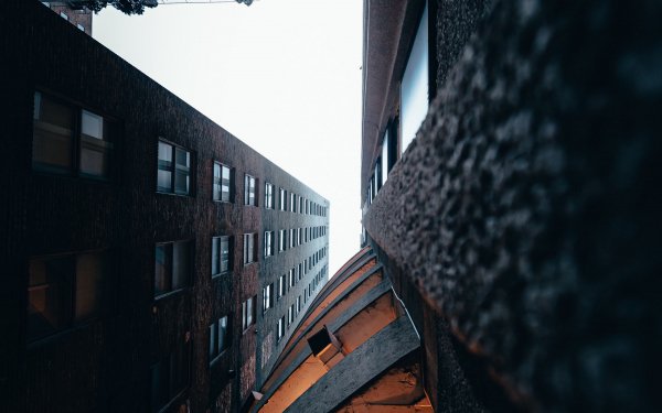 file_88467341