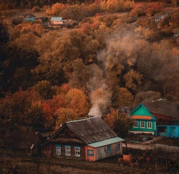 file_97658093