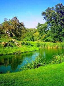 Beautiful Nature