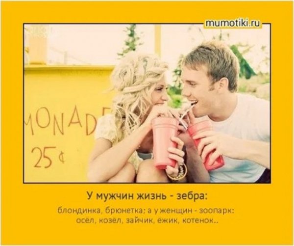 У мужчин жизнь зебра...