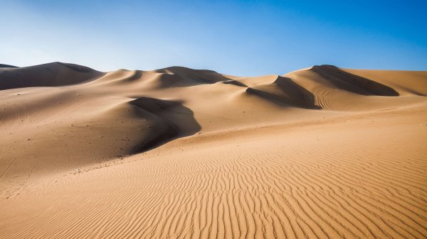 Desert Beauty Premium 9