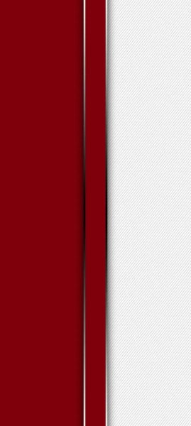 adapted 1080x2408 1786854529